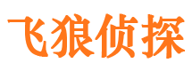 盐亭市私家侦探